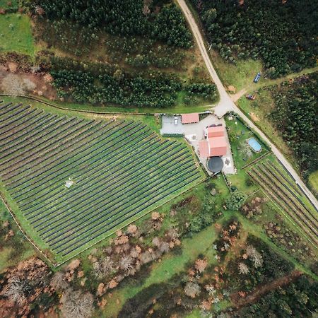 セイアQuinta Vale Salgueiroアパートメント エクステリア 写真