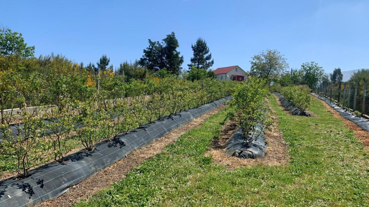セイアQuinta Vale Salgueiroアパートメント エクステリア 写真