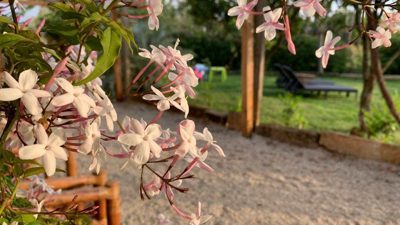 セイアQuinta Vale Salgueiroアパートメント エクステリア 写真