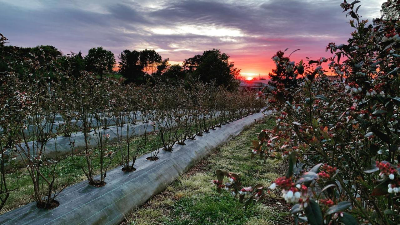 セイアQuinta Vale Salgueiroアパートメント エクステリア 写真