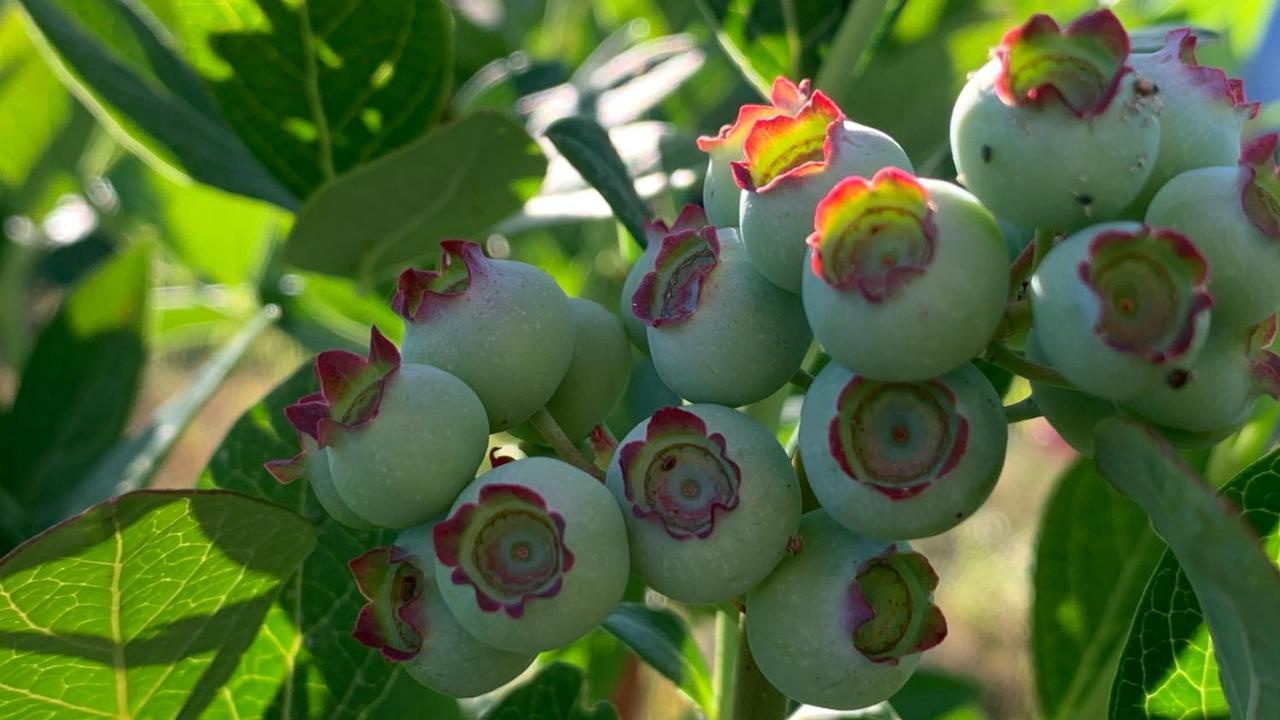 セイアQuinta Vale Salgueiroアパートメント エクステリア 写真