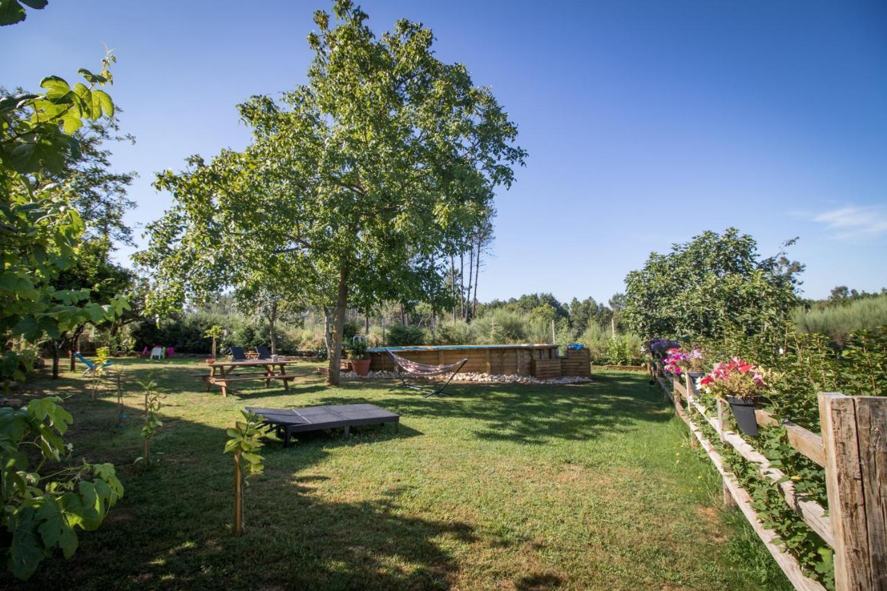 セイアQuinta Vale Salgueiroアパートメント エクステリア 写真