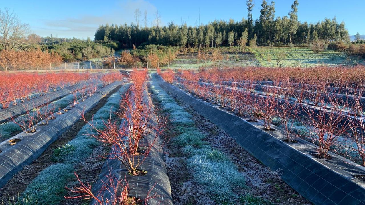セイアQuinta Vale Salgueiroアパートメント エクステリア 写真