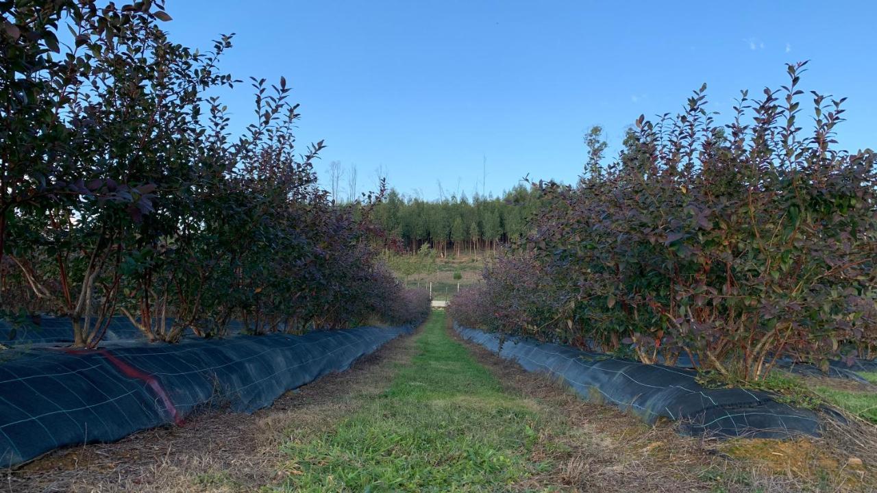 セイアQuinta Vale Salgueiroアパートメント エクステリア 写真