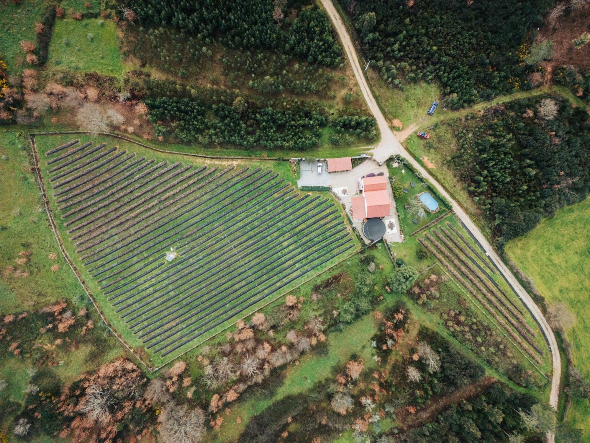 セイアQuinta Vale Salgueiroアパートメント エクステリア 写真