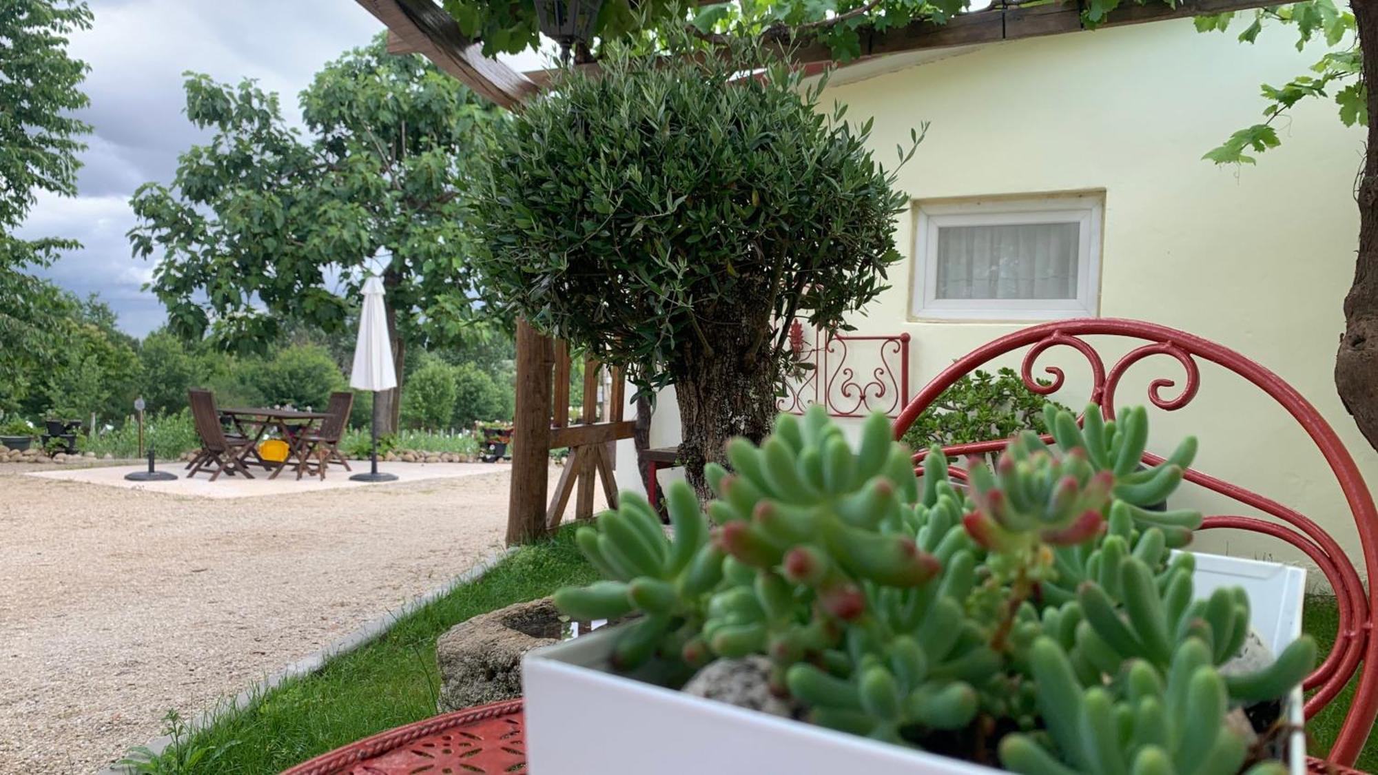 セイアQuinta Vale Salgueiroアパートメント エクステリア 写真