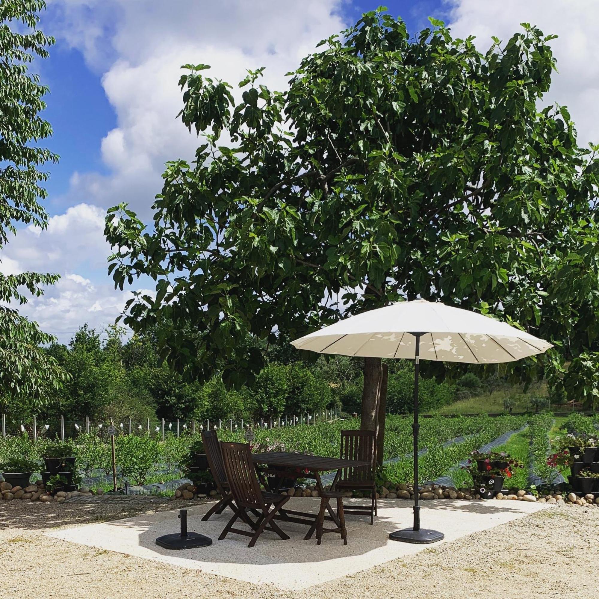 セイアQuinta Vale Salgueiroアパートメント エクステリア 写真